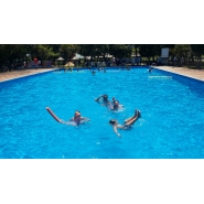Colonia de Vacaciones - Diciembre 2014